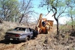 Park Cleanups