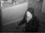 Image: surveillance photo