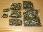 7 packets of dried  marijuana